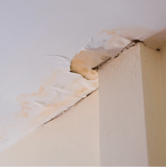 6 Signs That You Need a New Roof (Especially in Minnesota)